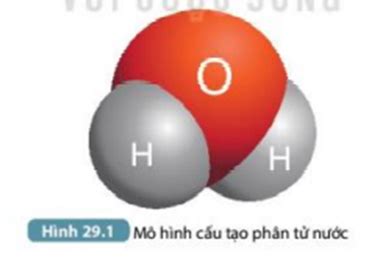 1. Nêu vai trò của nước đối với sinh vật. Điều gì xảy ra nếu sinh vật ...