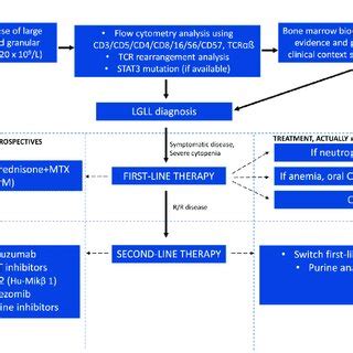 Diagnostic criteria and treatment options in LGL leukemia. | Download Scientific Diagram