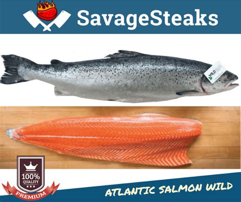 Atlantic Salmon Wild - Savage Steaks