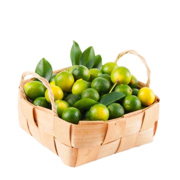 Fruit Small Kumquat Fresh Fruit, Fruit, Kumquat, Fresh Fruit PNG Transparent Image and Clipart ...