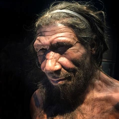 Neanderthal | Allan Henderson | Flickr