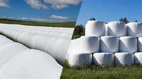 Tube wrapping vs. individual wrapping: which is the best for silage bales?