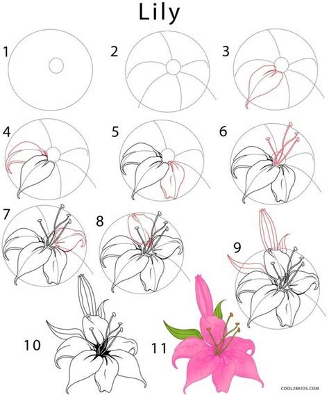 Como Dibujar Una Flor De Loto Paso A Paso La flor de loto es una de las ...