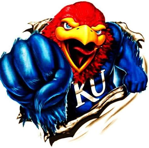 Jayhawk Images - ClipArt Best