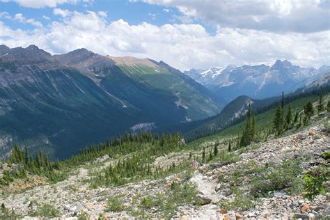 Hiking in the Canadian Rockies. | Hiking, Canadian rockies, New view