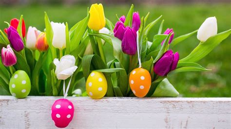 Easter Eggs With Beautiful Background - Quotes and Greetings | Easter wallpaper, Easter flowers ...