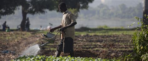 Water in Agriculture