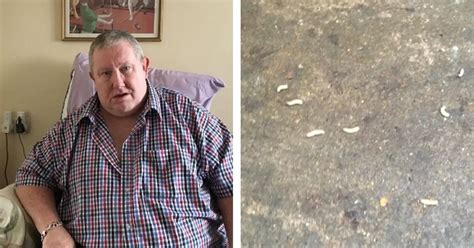 Man forced to put up with maggot infestation in his home for more than ...