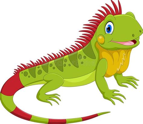 Vector illustration of cute iguana cartoon stock illustration | Cute cartoon animals, Iguana ...