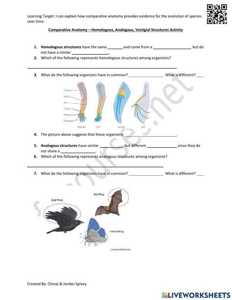 Free homologous structures worksheet, Download Free homologous structures worksheet png images ...