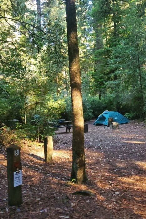 Jedediah Smith Campground - Jedediah Smith Redwoods State Park | Park ...