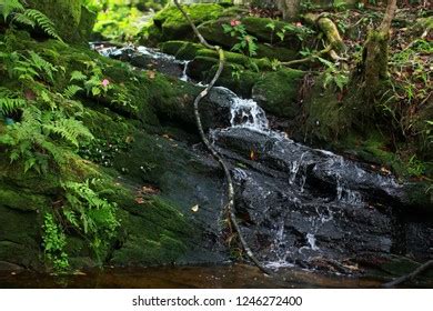 Gunung Jerai Waterfall Stock Photo 1246272400 | Shutterstock