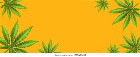 Weed Banner Images: Browse 24,756 Stock Photos & Vectors Free Download with Trial | Shutterstock