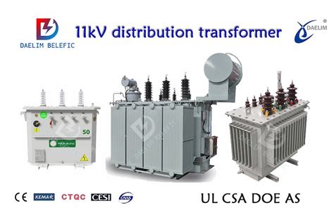 11kV Transformer Guide | Daelim Transformer