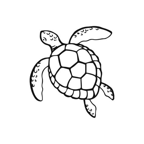 Drawing Of A Turtle Outline Tattoo Illustrations, Royalty-Free Vector Graphics & Clip Art - iStock