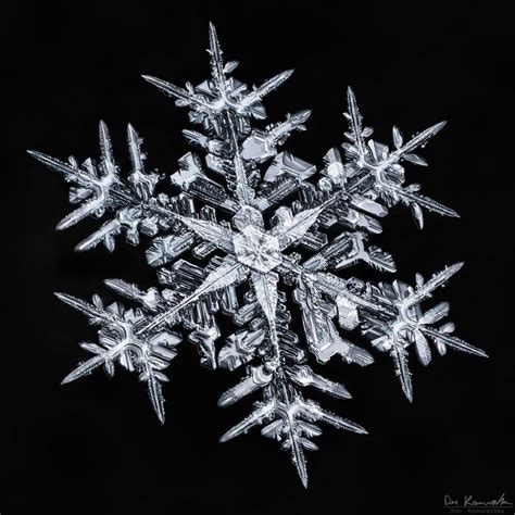 These Close-Up Photos Of Snowflakes Reveal A Surprising Fact… I’m ...