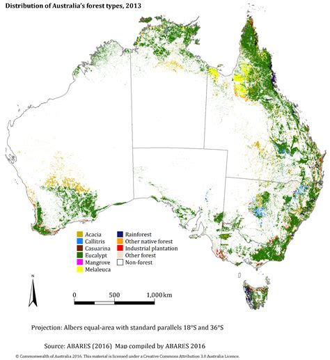 The Forests of Australia - Integrate Sustainability