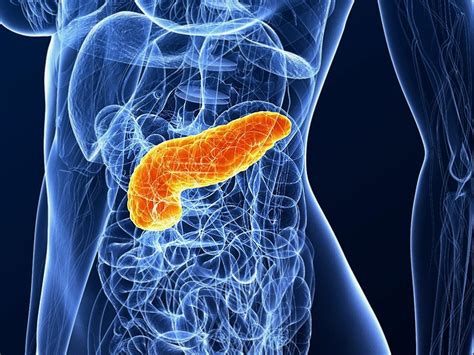 Exocrine Pancreatic Insufficiency: Seen but Not Recognized?