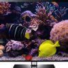 4K Marine Aquarium Screensaver for Ultra HD TV screens or Windows