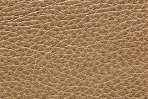 Beautiful Light Brown Leather Texture. Stock Image - Image of leather ...