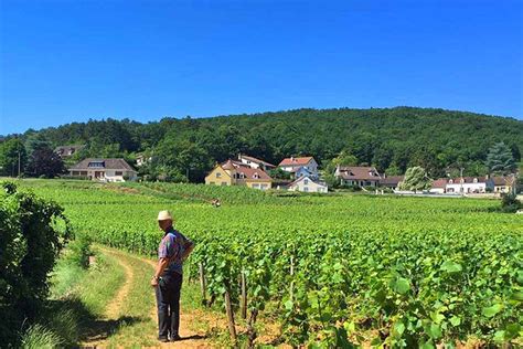 Adventure of the Week: Burgundy Vineyard Trails | Macs Adventure Blog