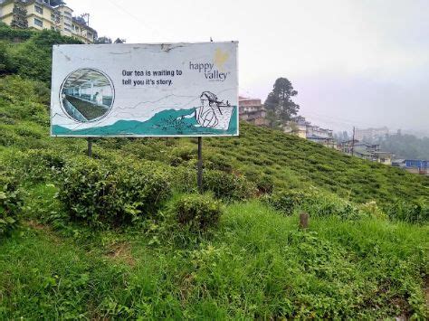 Happy Valley Tea Estate | Darjeeling - What to Expect | Timings | Tips - Trip Ideas by MakeMyTrip