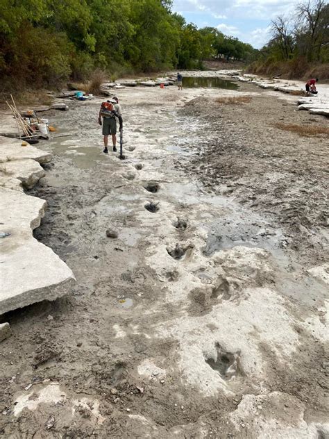 113-Million-Year Dinosaur Tracks Uncovered In Texas - Secret Houston