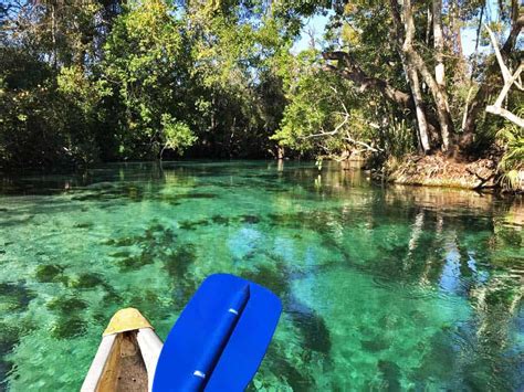 Weeki Wachee: Kayak with manatees; see the mermaids