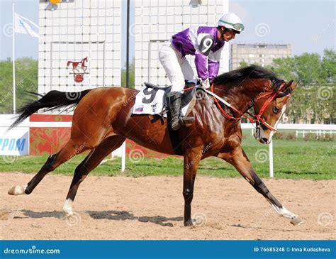 Jockey on a Thoroughbred Racehorse Editorial Stock Photo - Image of ...