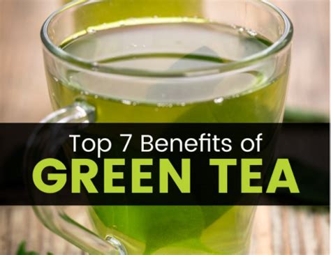 Green Tea : 7 Proven Benefits Organic Green Tea