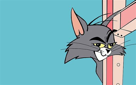 2560x1440px | free download | HD wallpaper: Tom from Tom and Jerry wallpaper | Wallpaper Flare