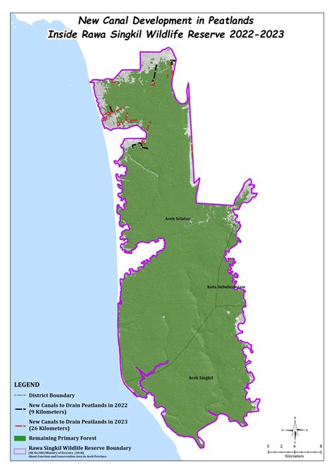 Deforestation for palm oil continues in Indonesia’s ‘orangutan capital’