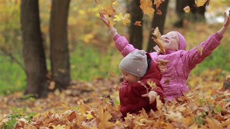 Cheerful children playing in leaves pile in autumn Stock Video Footage - Storyblocks