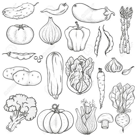 clipart vegetables black and white - Google Search | Vegetable drawing ...