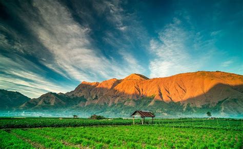 Accommodation in Sembalun Lawang under foot of Mount Rinjani | National ...