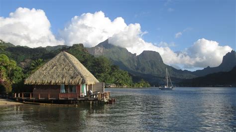 Club Bali Hai et restaurant l'Ananas Bleu dans la Baie de Cook