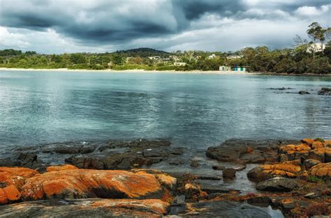 Landscape of Greens Beach in Tasmania, Australia image - Free stock ...