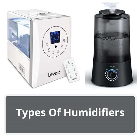 Differences Between A Humidifier And Dehumidifier