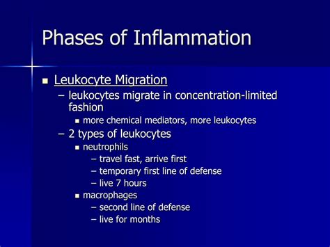 PPT - The Eight Phases of Inflammation PowerPoint Presentation, free download - ID:388570