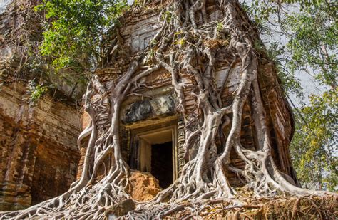 The Top 10 Tourist Attractions In Cambodia That You Have To See - Rainforest Cruises