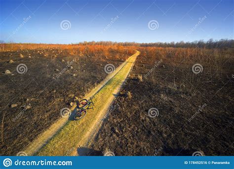 Burning forests and fields stock photo. Image of natural - 178452516