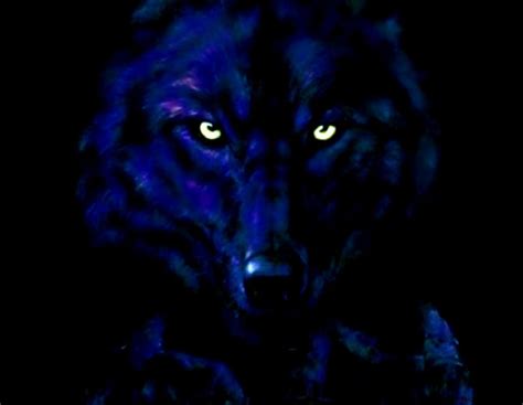 Abstract Wolf Wallpapers - Top Free Abstract Wolf Backgrounds - WallpaperAccess