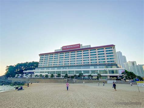 Luxury Hotels in Busan, Korea | Busanpedia