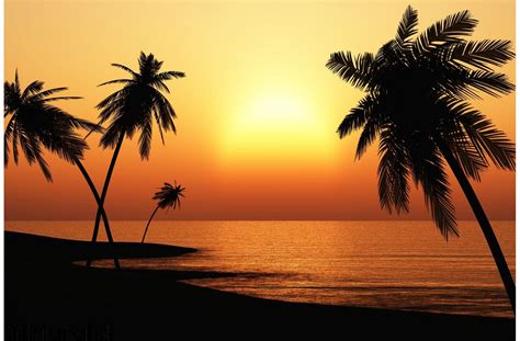 PixLith - Tropical Sunset Wall Mural