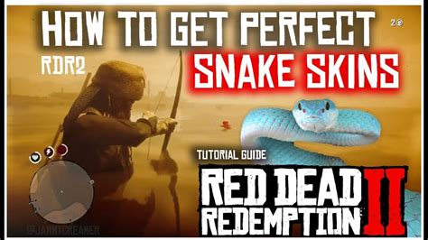 HOW TO FIND PRISTINE SNAKES AND GET PERFECT SNAKE SKINS | RED DEAD ...