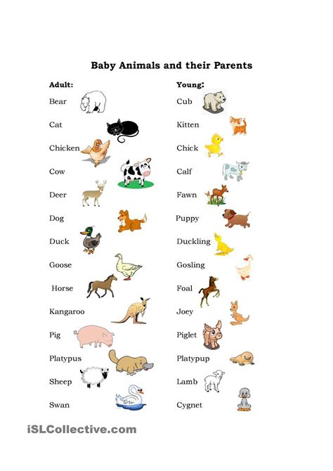 Baby Animals | Teaching English | Pinterest | Baby animals