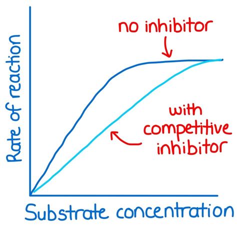 Enzyme Inhibition - Enzymes Ep 3 - Zoë Huggett Tutorials