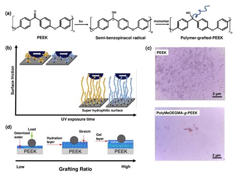 Surface photopolymerization of PEEK. (a) Mechanism of PEEK surface... | Download Scientific Diagram