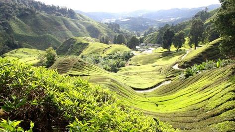 4 Fakta Iklim Tropis, Beruntung Jadi Orang Indonesia!