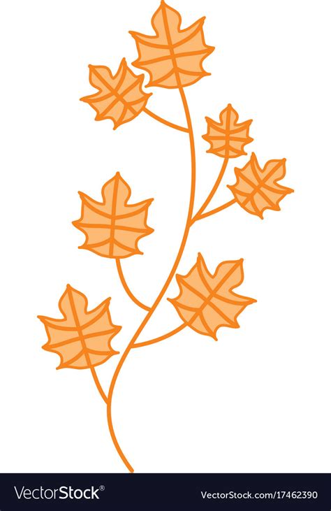 Autumn tree branch leaves foliage botanical image Vector Image